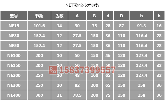 NE提升機下鏈輪尺寸